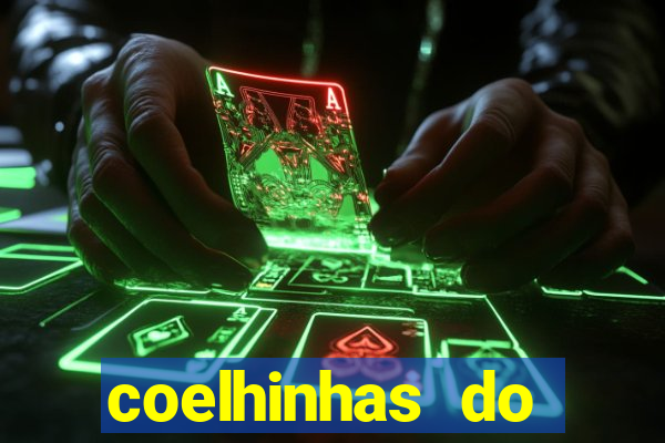 coelhinhas do brasil recife